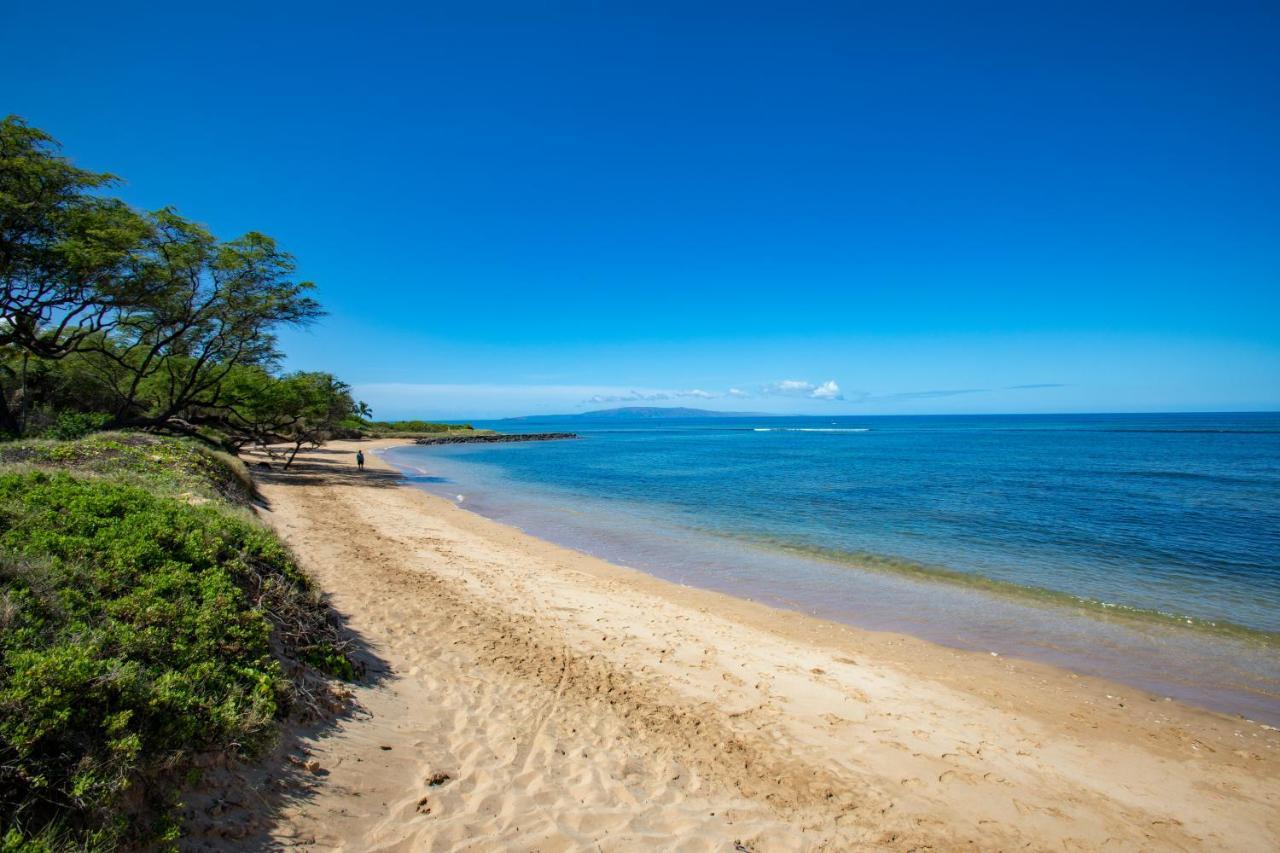 Beautiful 1 Bedroom Condo With Ocean Views | Oceanfront Kihei Eksteriør billede